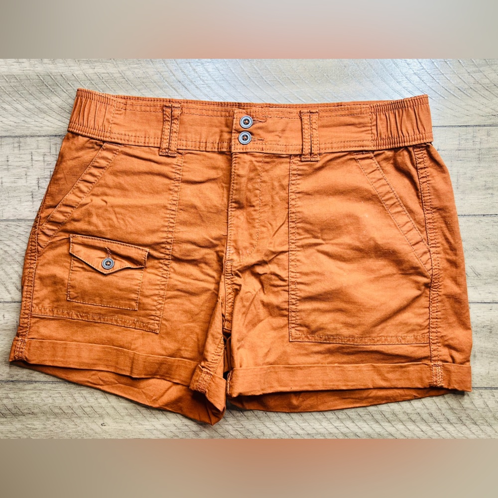 Time and Tru Shorts burnt orange- Size 6